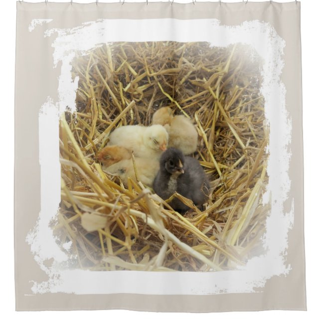 small chicken shower curtain (Front)