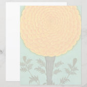 Small Clive Album | A Marigold (Front/Back)