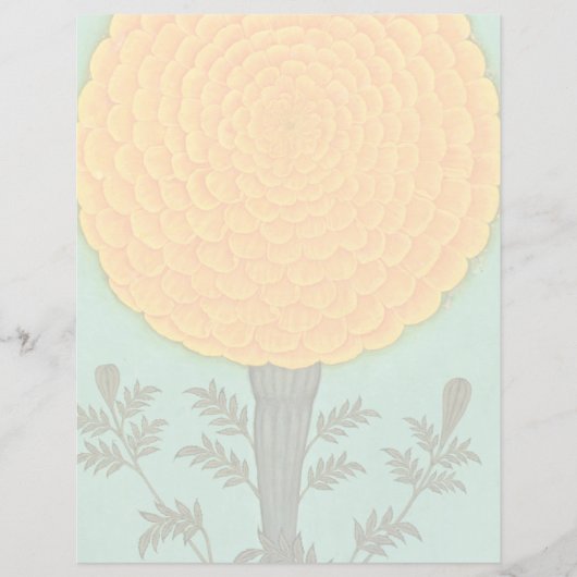 Small Clive Album | A Marigold (Front)