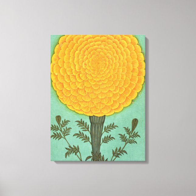 Small Clive Album | A Marigold Canvas Print (Front)