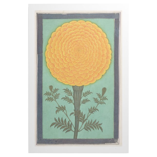 Small Clive Album | A Marigold Gallery Wrap (Front)