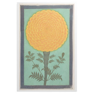 Small Clive Album   A Marigold Gallery Wrap