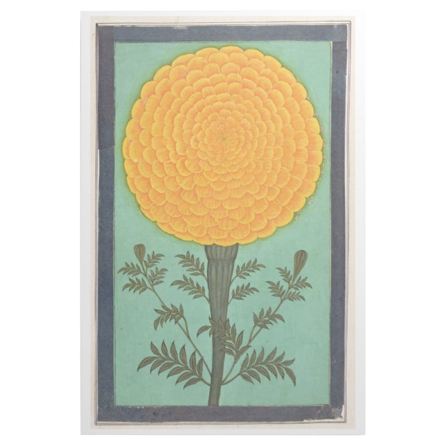 Small Clive Album | A Marigold Gallery Wrap (Front)