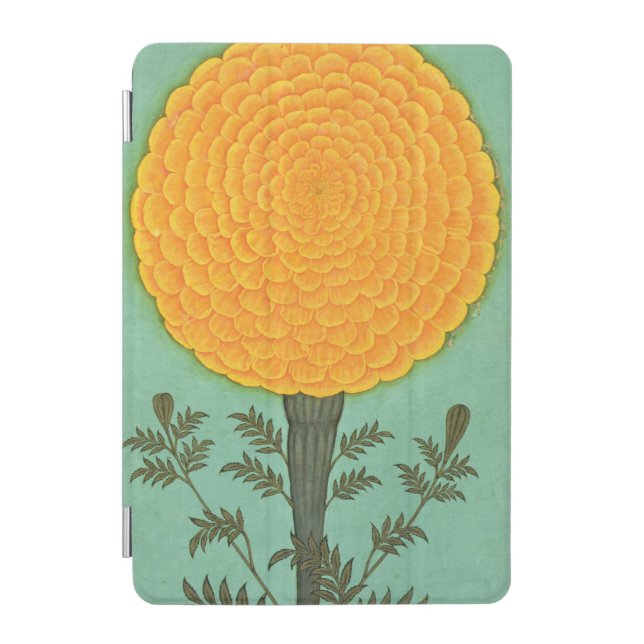 Small Clive Album | A Marigold iPad Mini Cover (Front)