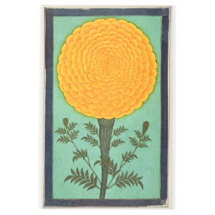 Small Clive Album A Marigold Metal Print