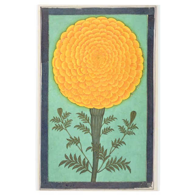 Small Clive Album | A Marigold Metal Print (Front)