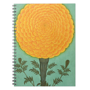Small Clive Album A Marigold Notebook