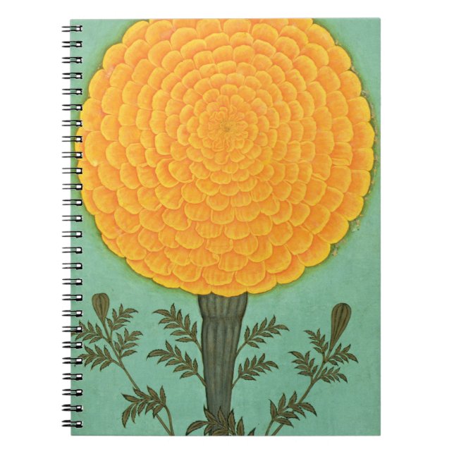 Small Clive Album | A Marigold Notebook (Front)