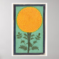 Small Clive Album | A Marigold