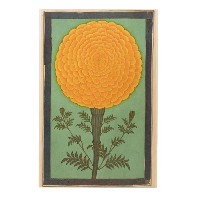 Small Clive Album | A Marigold Wood Wall Art (Front)
