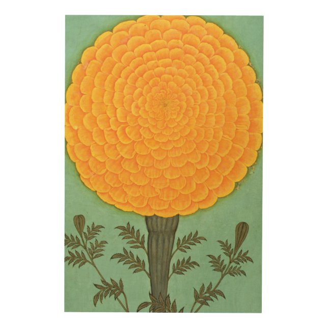 Small Clive Album | A Marigold Wood Wall Art (Front)