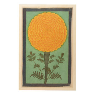 Small Clive Album A Marigold Wood Wall Art