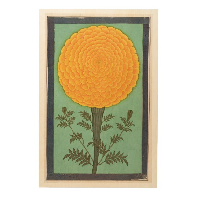 Small Clive Album | A Marigold Wood Wall Art (Front)