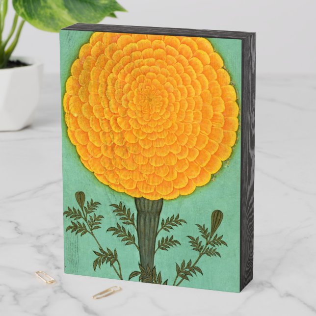 Small Clive Album | A Marigold Wooden Box Sign (In Situ Vertical)