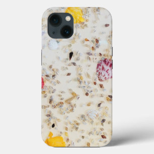 Small Colorful Seashells iPhone 13 Case
