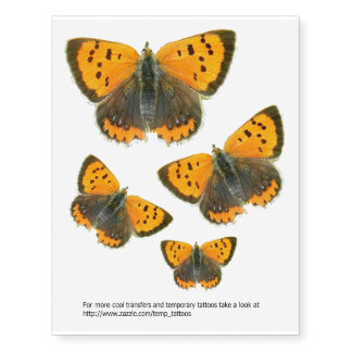 Small copper butterfly transfers temporary tattoos