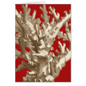 Small Coral in Red (Front)