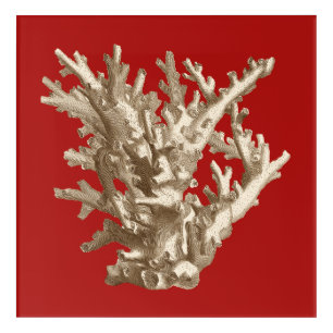 Small Coral in Red Acrylic Print
