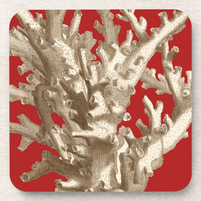 Small Coral in Red Beverage Coaster (Front)