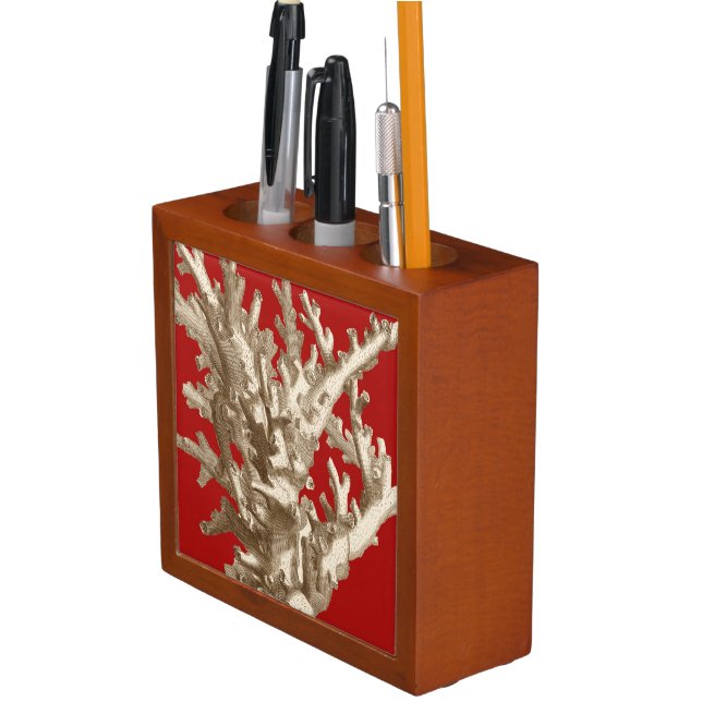 Small Coral in Red Desk Organizer (In Situ)