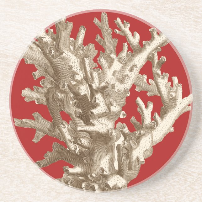 Small Coral in Red Drink Coaster (Front)