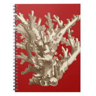 Small Coral in Red Notebook