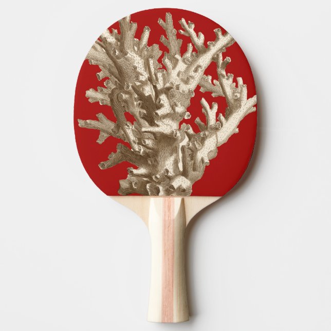 Small Coral in Red Ping-Pong Paddle (Front)