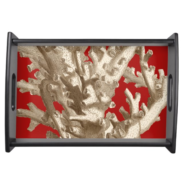 Small Coral in Red Serving Tray (Front)