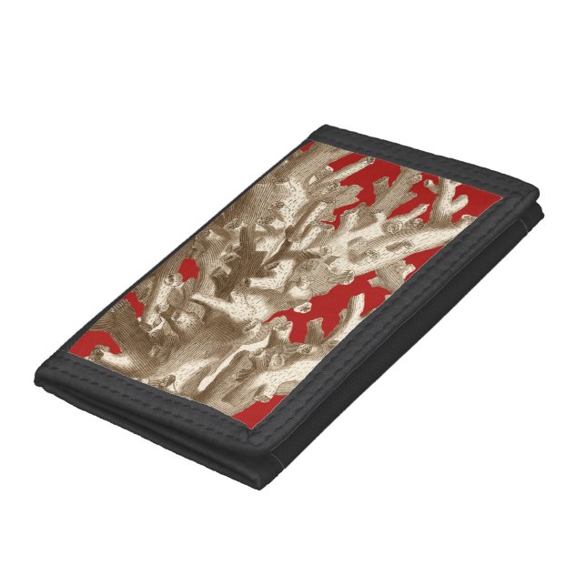 Small Coral in Red Trifold Wallet (Bottom)