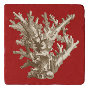 Small Coral in Red Trivet