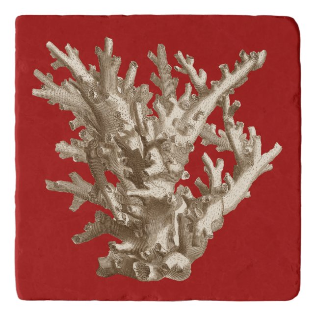 Small Coral in Red Trivet (Front)