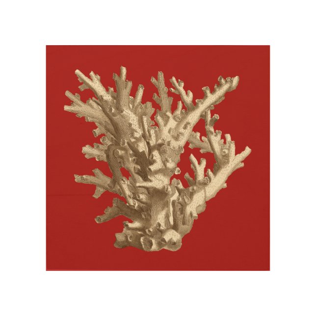 Small Coral in Red Wood Wall Art (Front)