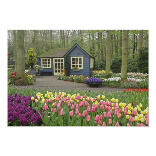 Small cottage flower shop Keukenhof Gardens Photo Print