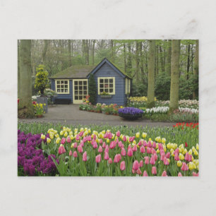 Small cottage flower shop, Keukenhof Gardens, Postcard