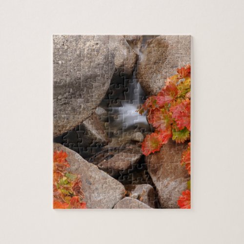 Small creek in autumn California Jigsaw Puzzle