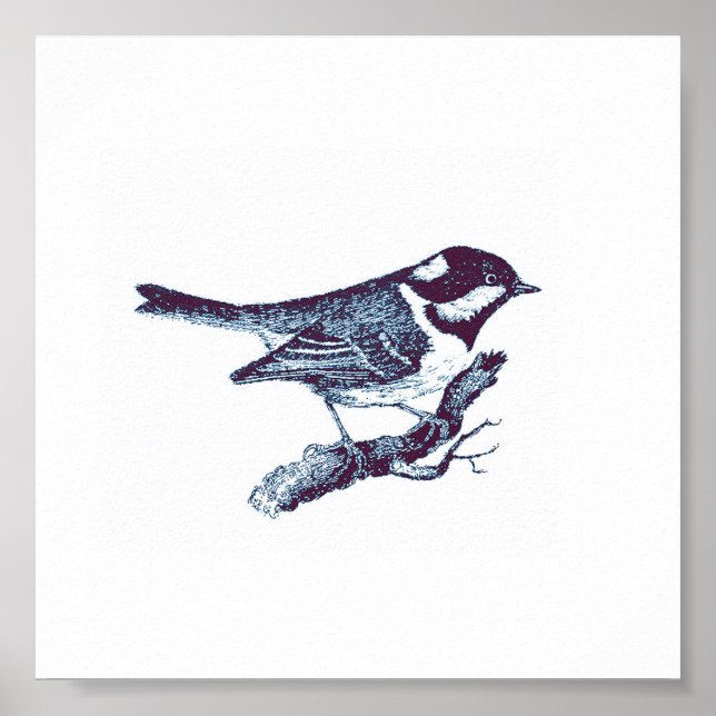 Small Cute Blue Bird Vintage Illustration Poster (Front)