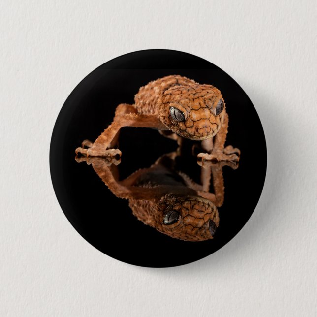 Small Cute Lizard Reptile with Reflection Button (Front)