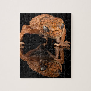 Small Cute Lizard Reptile with Reflection Jigsaw Puzzle