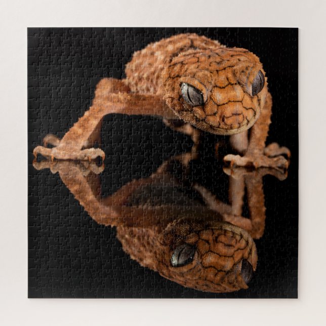 Small Cute Lizard Reptile with Reflection Jigsaw Puzzle (Vertical)