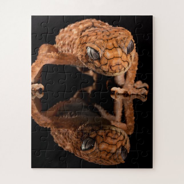 Small Cute Lizard Reptile with Reflection Jigsaw Puzzle (Vertical)