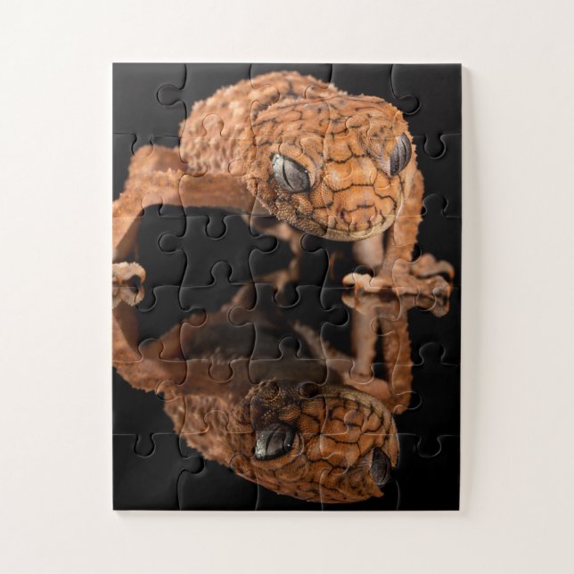 Small Cute Lizard Reptile with Reflection Jigsaw Puzzle (Vertical)