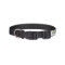 Small Dog Collar