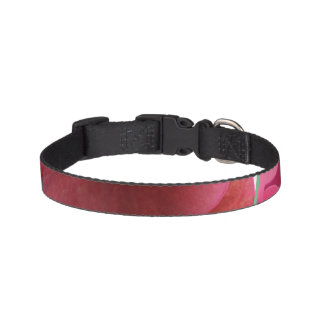 small dog collar for female
