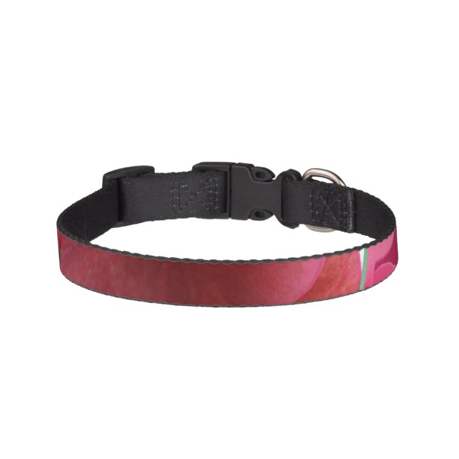 small dog collar for female (Front)