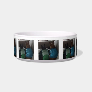 Small Dog Medium Pet Bowl