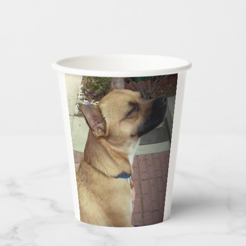 Small Dog Paper Cups Size 8ozPaper Cup Lid None