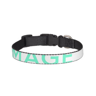 Small Dog Pet Collar