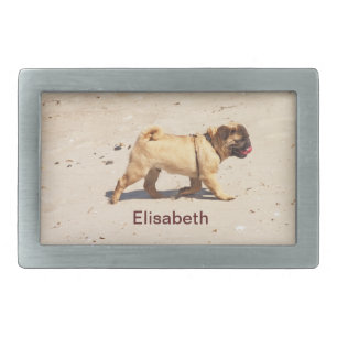 small dog pug baby playing belt buckle