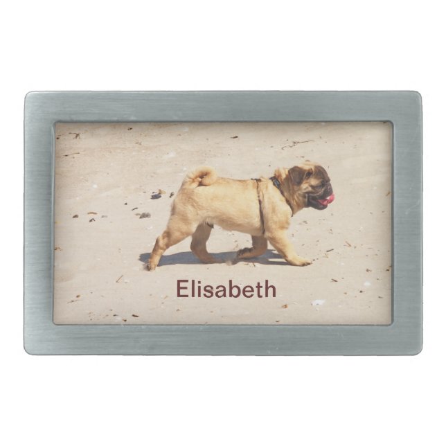 small dog pug baby playing belt buckle (Front)