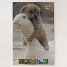 Small dog puzzle, hugging the goose.